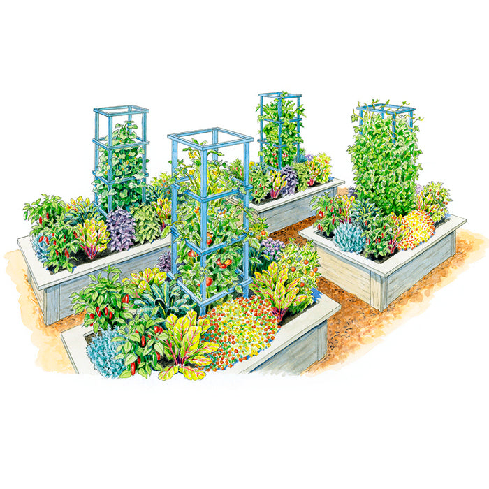 Big Vegetable Harvest, Small Space Garden Plan